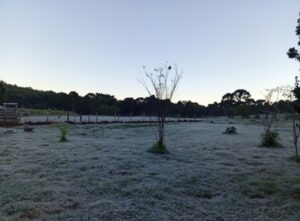 Intensa helada dejó postales blancas en Paraje Alegría